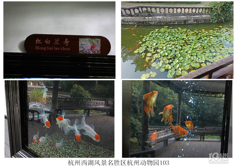 杭州西湖风景名胜区杭州动物园(六)