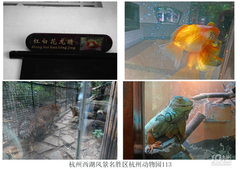 杭州西湖风景名胜区杭州动物园(六)