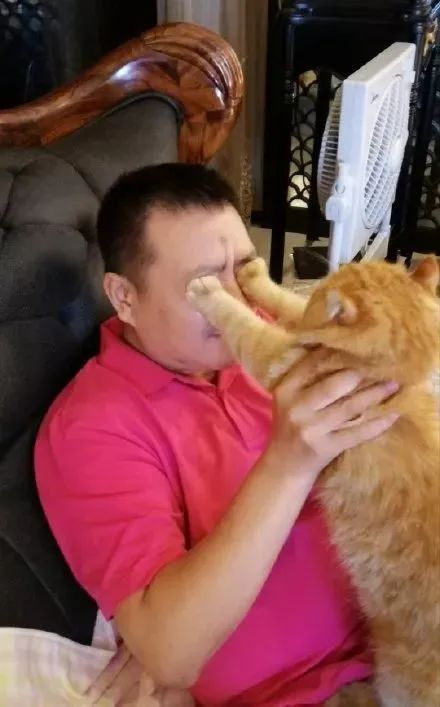 强行吸猫一小口被猫扇了一大巴掌