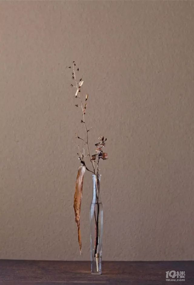 零基礎(chǔ)插花指南，12種插法立刻學(xué)會(huì)