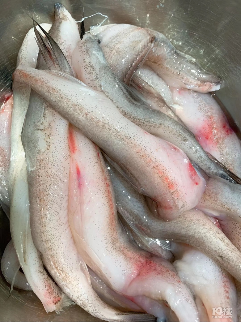 做法简单的红烧水潺:水潺洗净切段,炒锅上