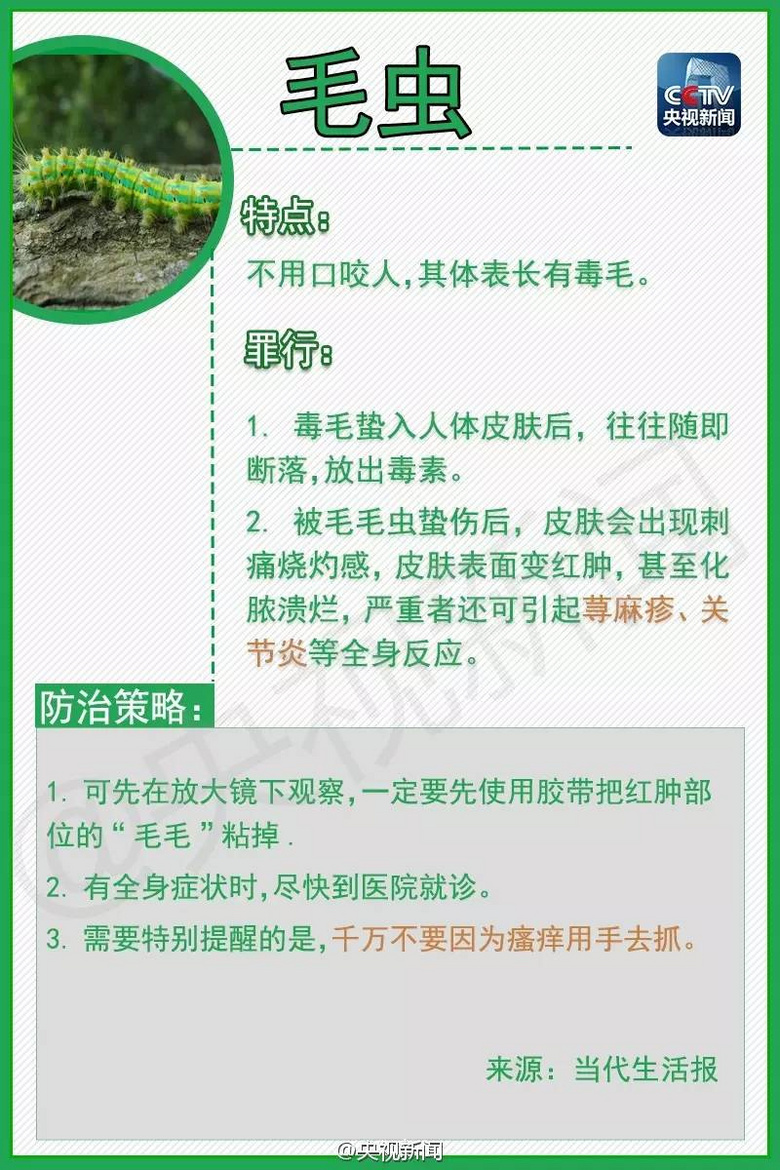 小虫虽小,危害甚大