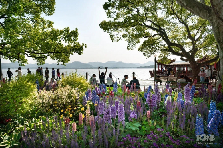 五一期间断桥等景区有管控!西湖各收费景点29日17点开启预约购票