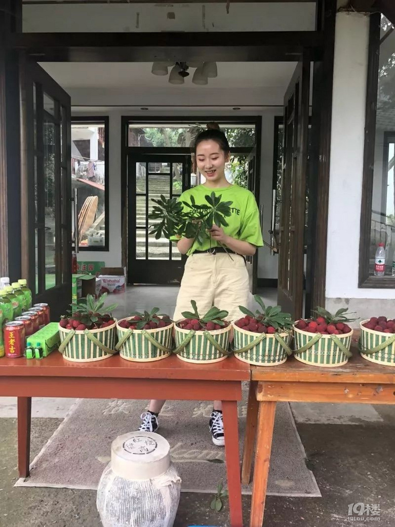 蕭山杜家楊梅采摘游,占地600畝杜梅山莊親子游,團建活動