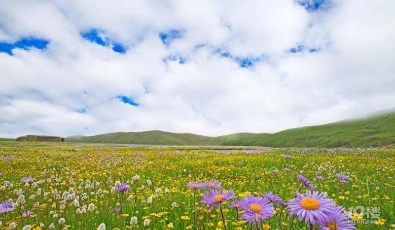 6月15日-21日甘南自驾穿越大环线