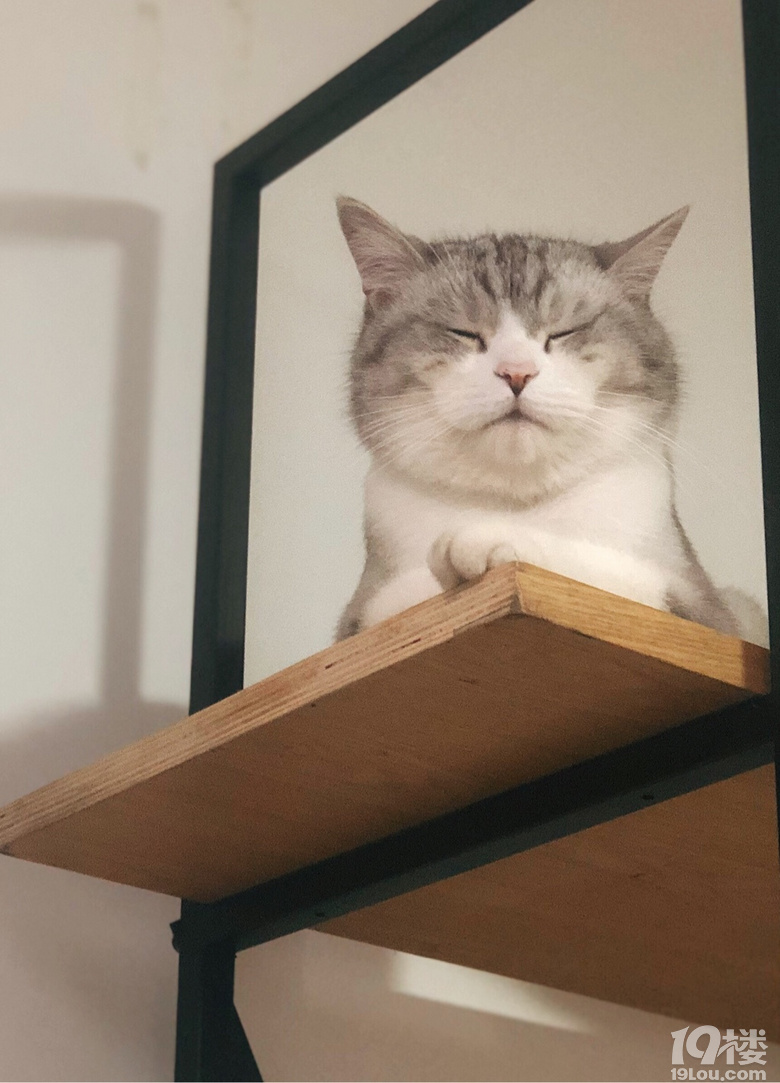 B(yng)ӛָe˵ĵܵҲ̫˰