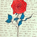 Whenyouareoldgrayand_图5