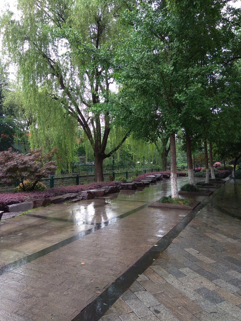 雨天-手机随手拍-19摄区-杭州19楼