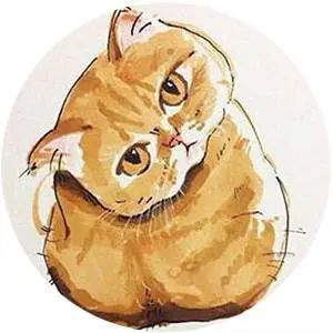 我是流浪汉，我的猫不是流浪猫！
