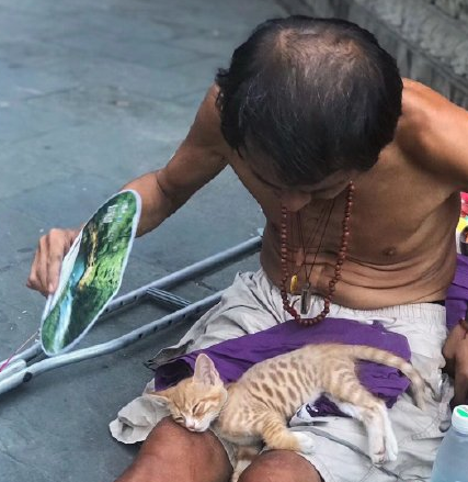 我是流浪汉，我的猫不是流浪猫！