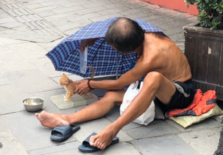 我是流浪汉，我的猫不是流浪猫！