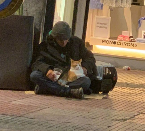 我是流浪汉，我的猫不是流浪猫！
