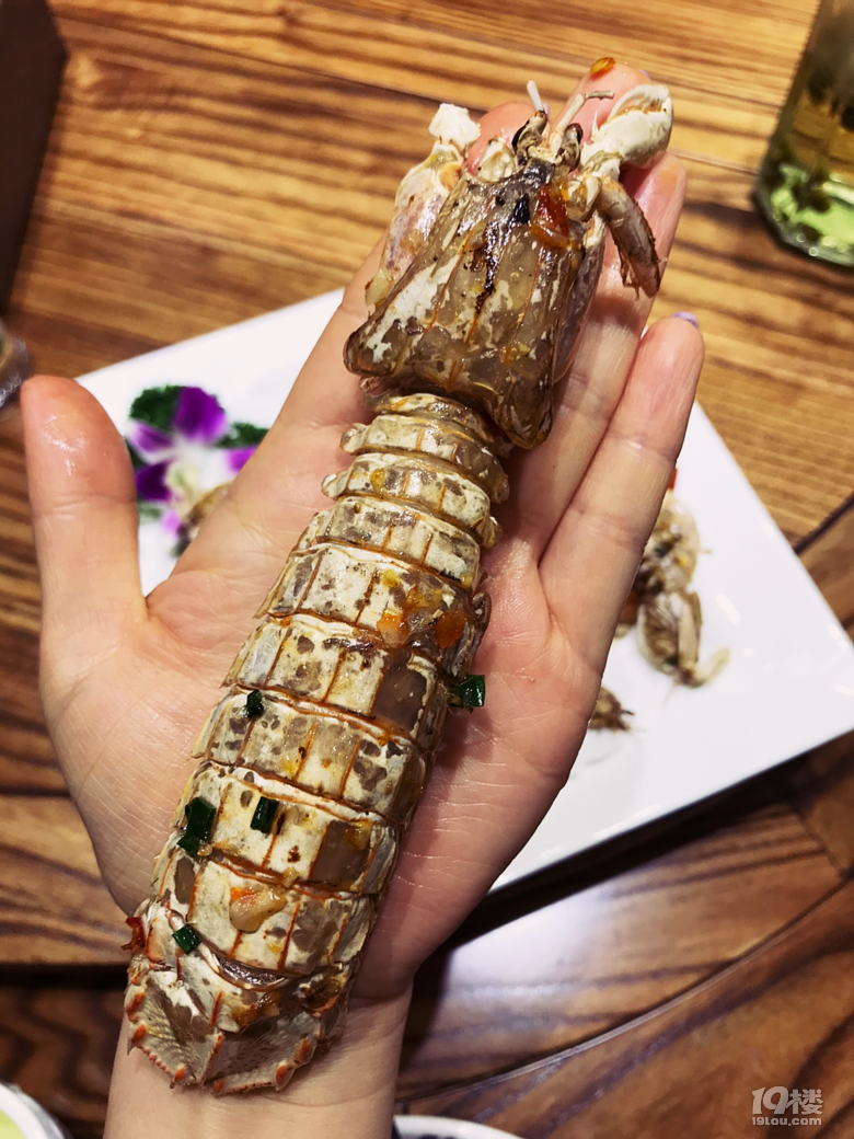 【探店】吃了七年的老店終于營(yíng)業(yè),海鮮砂鍋粥和小龍蝦絕了!