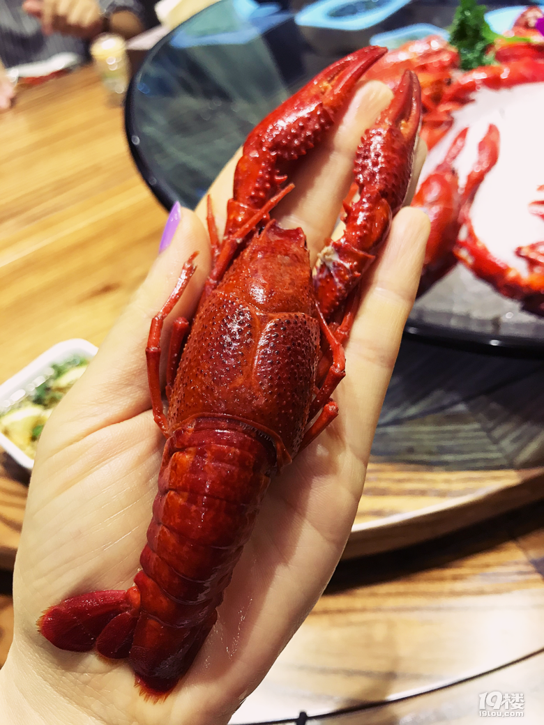 【探店】吃了七年的老店終于營(yíng)業(yè),海鮮砂鍋粥和小龍蝦絕了!