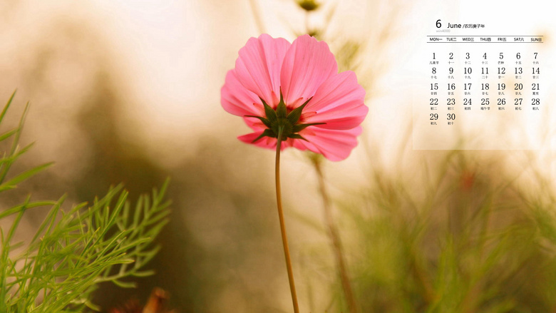 2020年6月月历壁纸