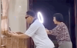當(dāng)初堅決反對自己養(yǎng)狗的父母,此刻正打著燈給狗子拍照……