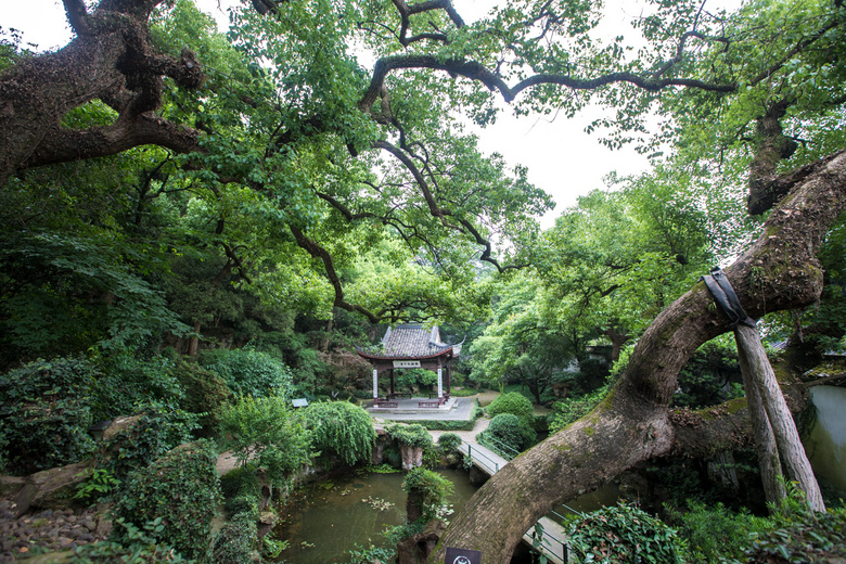 中山公園 2020.05.31-風景照-19攝區-杭州19樓