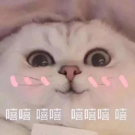 瘋狂舔屏的夏日美甲,又甜又欲美到腿抽筋