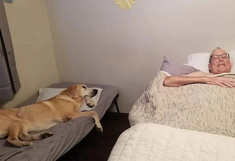 狗狗去世半小時后,主人也跟著離開了:“我們彩虹橋見”