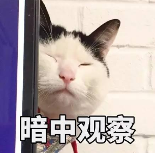 萌爪君到底長(zhǎng)什么樣?