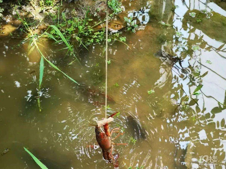 杭州周边哪里钓鱼、钓龙虾的农家乐