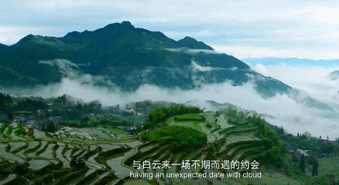 一城一湖一梯田，丽水云和藏进了华东最美云海