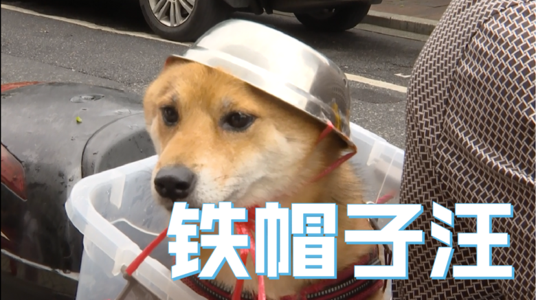 ˶ͷˣ㻹ţ
