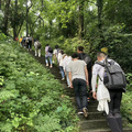 6月13日周六夏季祛湿养生户外游西湖群山三上三下爬山_图1