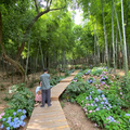 花明竹外