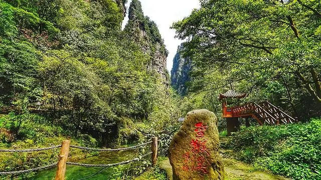 凭借《阿凡达》一票走红的张家界，这次又被玻璃栈道刷屏了