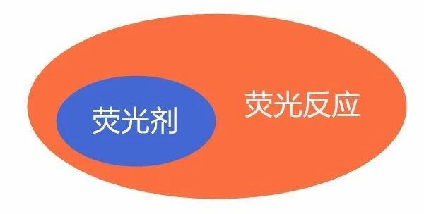 18歲出道即巔峰,慘遭無限期雪藏,37歲又憑借絕美素顏殺回來