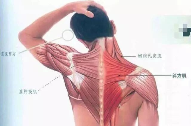 昆凌怎么胖成周杰倫了?!