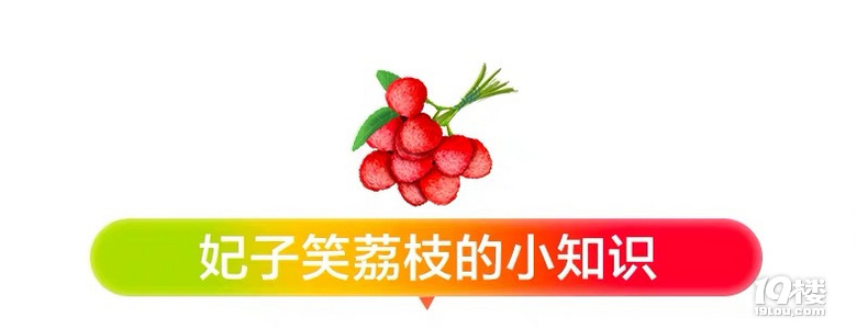 嘗鮮 | 6月不吃妃子笑,整個夏天都枉然!
