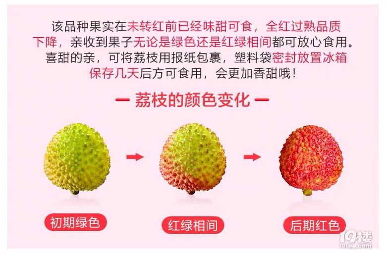 嘗鮮 | 6月不吃妃子笑,整個夏天都枉然!