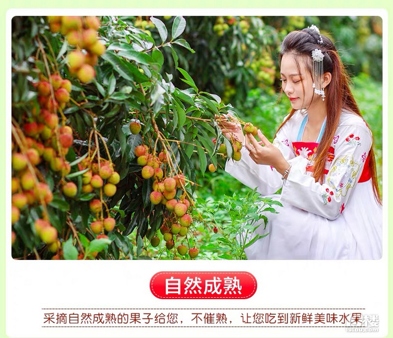 嘗鮮 | 6月不吃妃子笑,整個夏天都枉然!