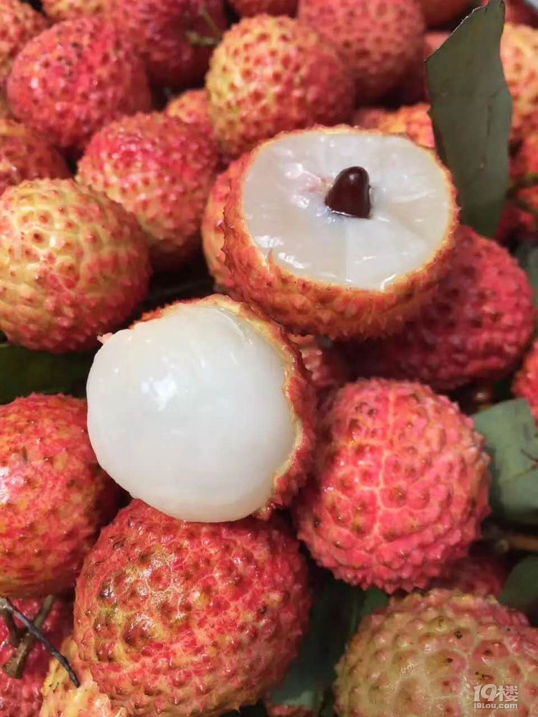 嘗鮮 | 6月不吃妃子笑,整個夏天都枉然!