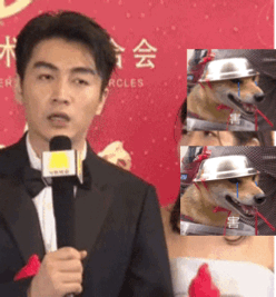 陳曉第八次婚變!陳妍希有多“蓮”,陳曉就有多煩!