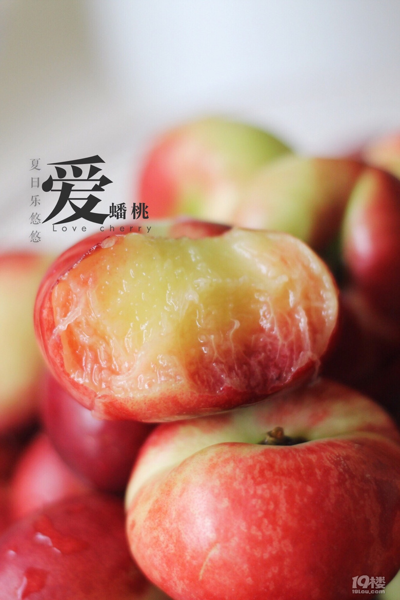 瓜果季~