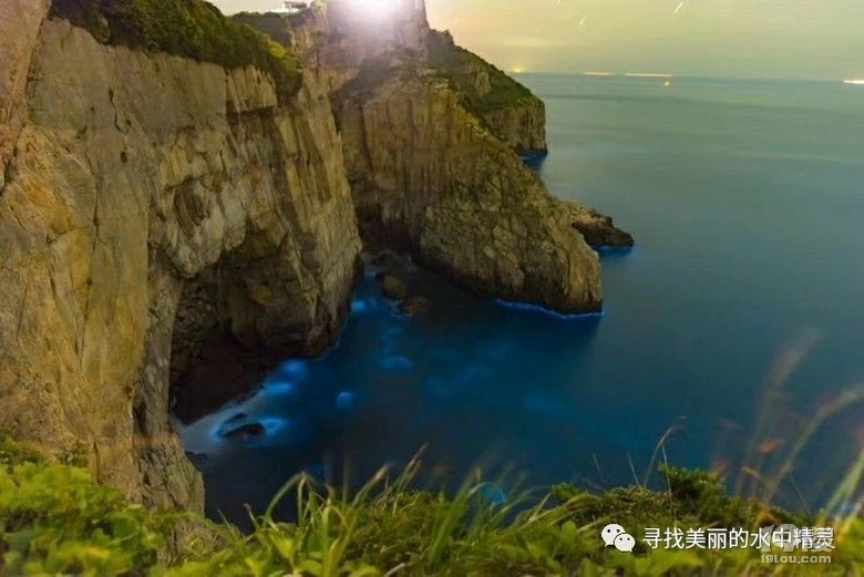 五彩斑斕的亮銀色!7月漁山列島海釣帶魚(yú)之旅!