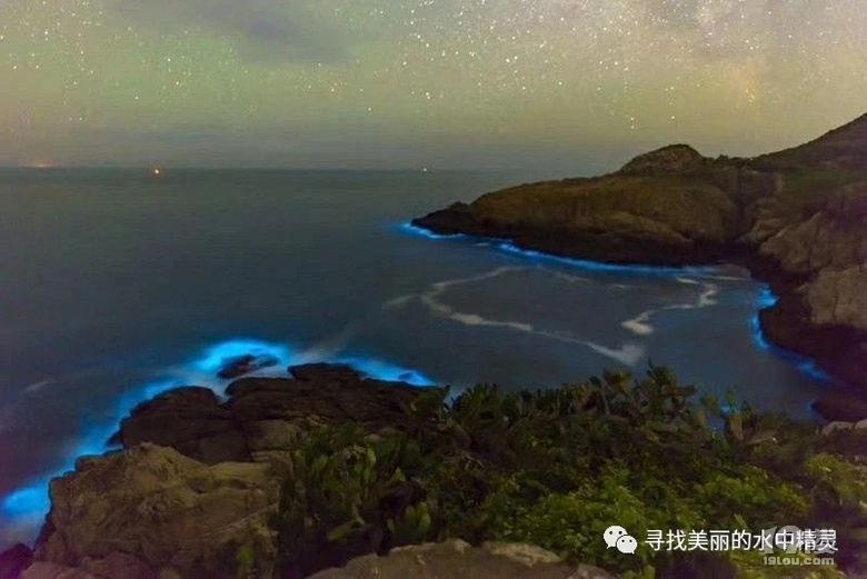 五彩斑斕的亮銀色!7月漁山列島海釣帶魚(yú)之旅!
