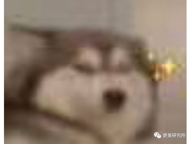 do到脸僵还搞霸凌，这位浪姐仗着背景强为所欲为？