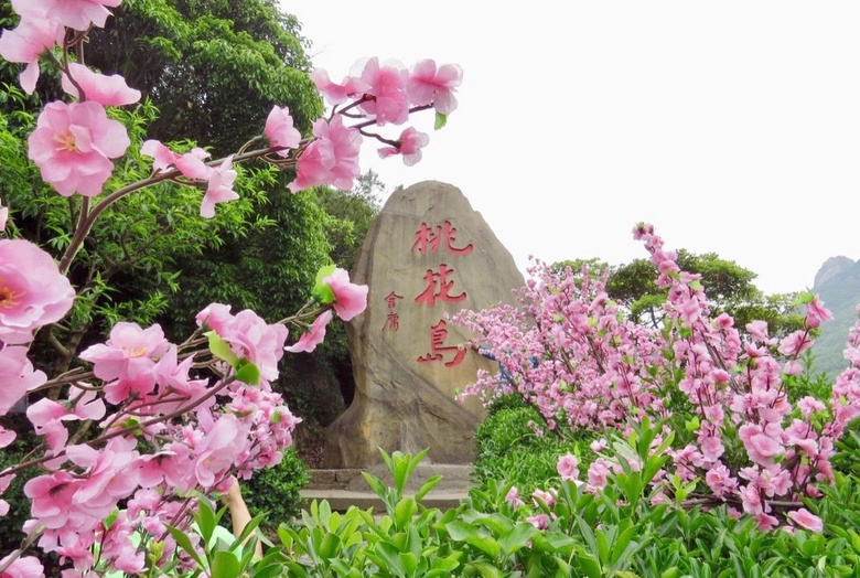 舟山旅游攻略 | 我跨過人山人海,來赴山海之約!