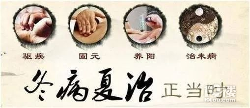 冬病夏治 | 何為“冬病”,為什么要“夏治”?