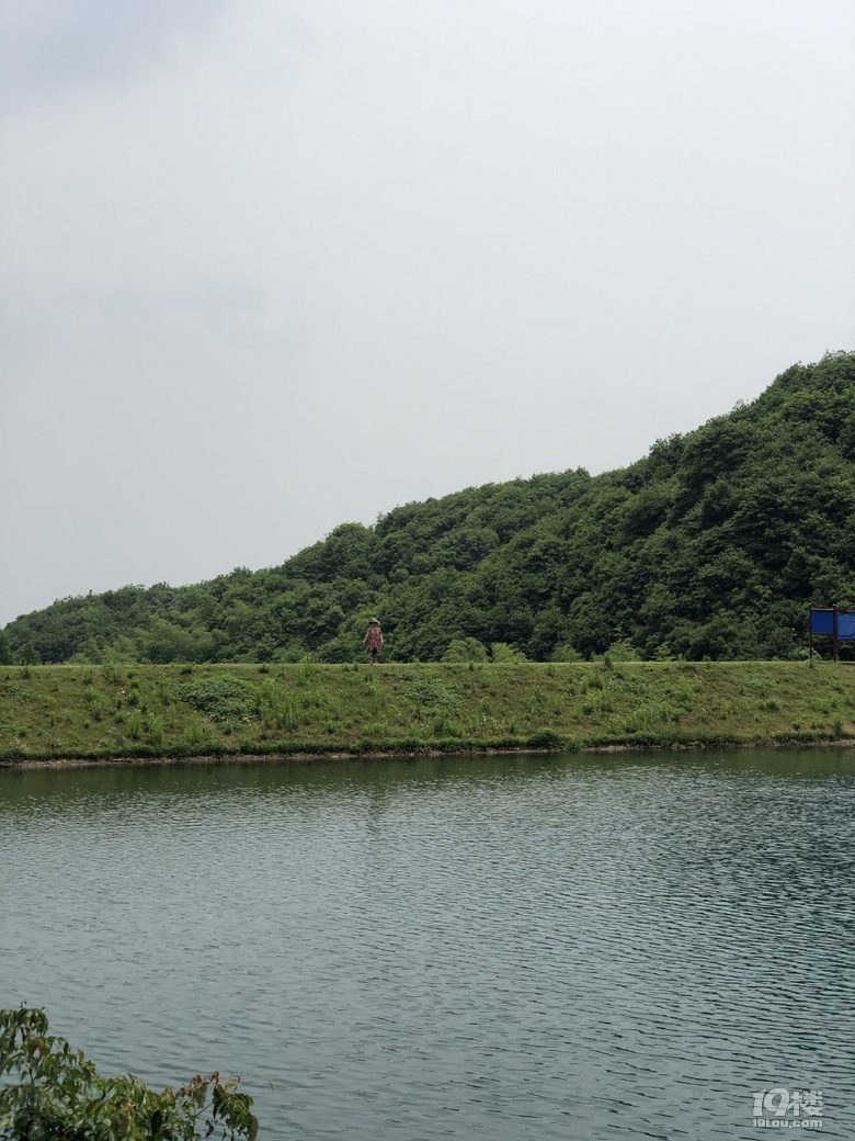 龙坞-龙尾巴山塘水库,也太美了