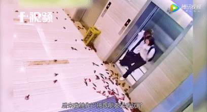 杭州女白領點外賣忘取,第二天上班看到這一幕嚇懵了...