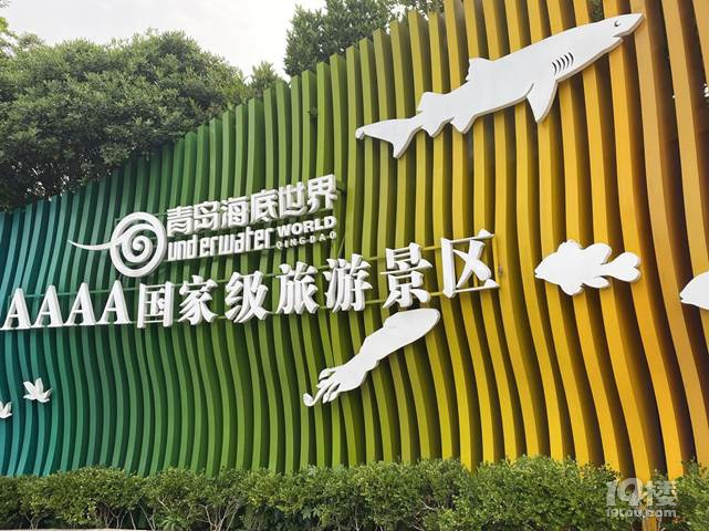 在青島吹海風(fēng) 送給父親的禮物