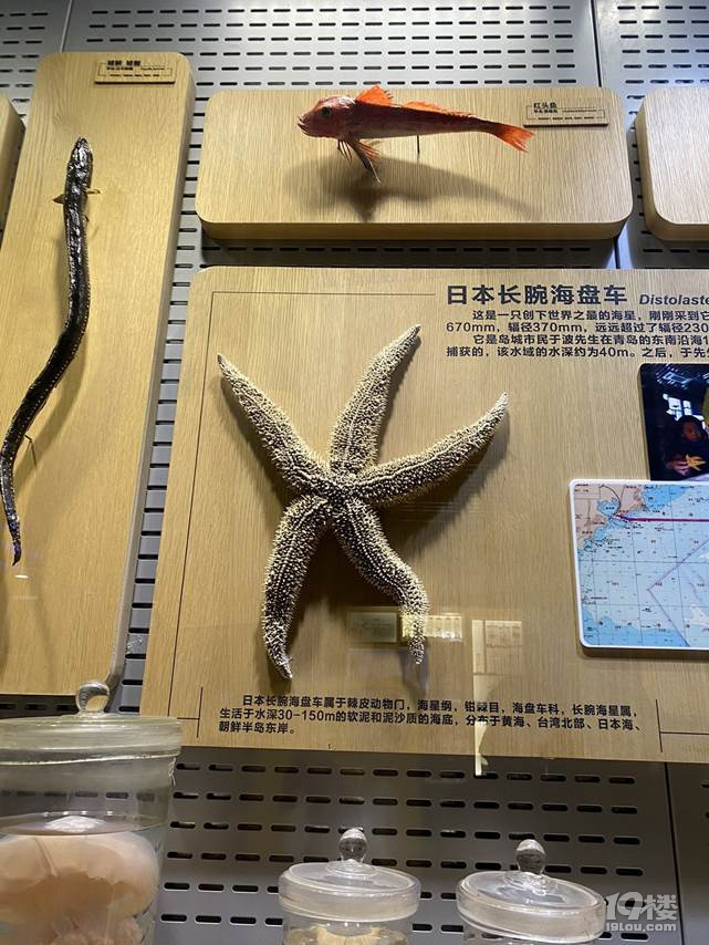 在青島吹海風(fēng) 送給父親的禮物