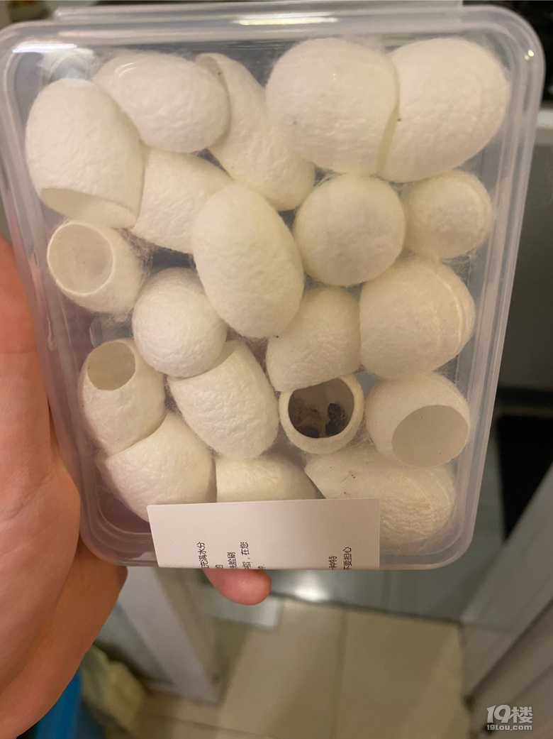 試了抖音超火的去黑頭神器,簡直就是交了智商稅