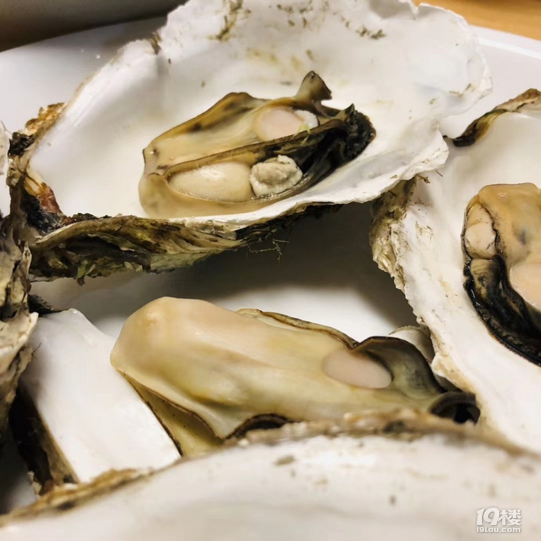 【7月今天吃这个】鲜美