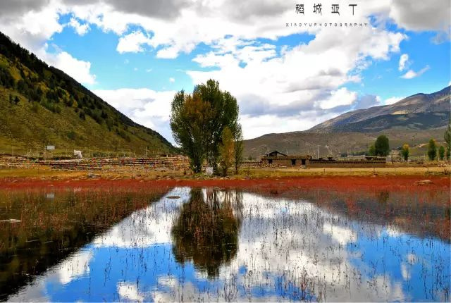 稻城亞丁,一個(gè)讓人身體下地獄,眼睛上天堂的地方!